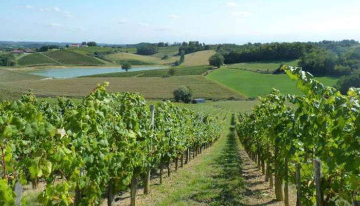 chatd'aydie